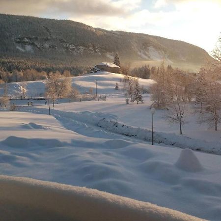 Les Chamois Daire Lajoux Dış mekan fotoğraf