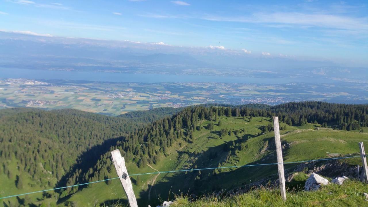 Les Chamois Daire Lajoux Dış mekan fotoğraf