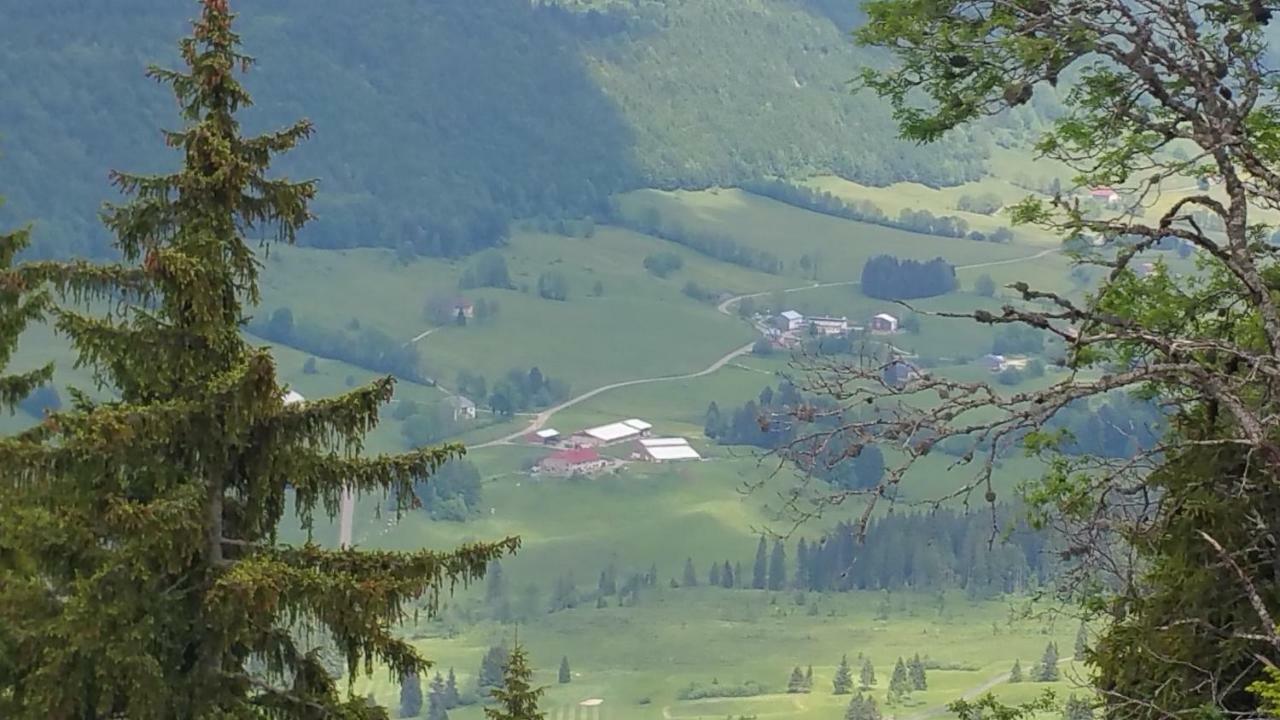 Les Chamois Daire Lajoux Dış mekan fotoğraf