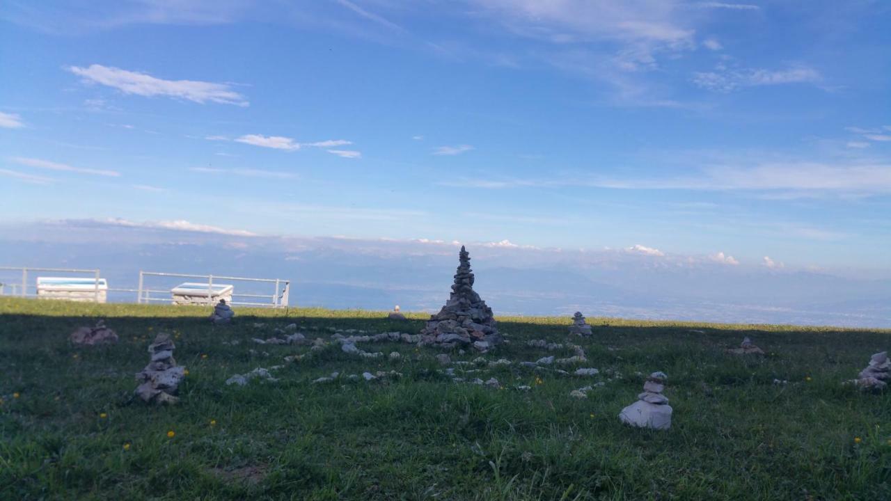 Les Chamois Daire Lajoux Dış mekan fotoğraf