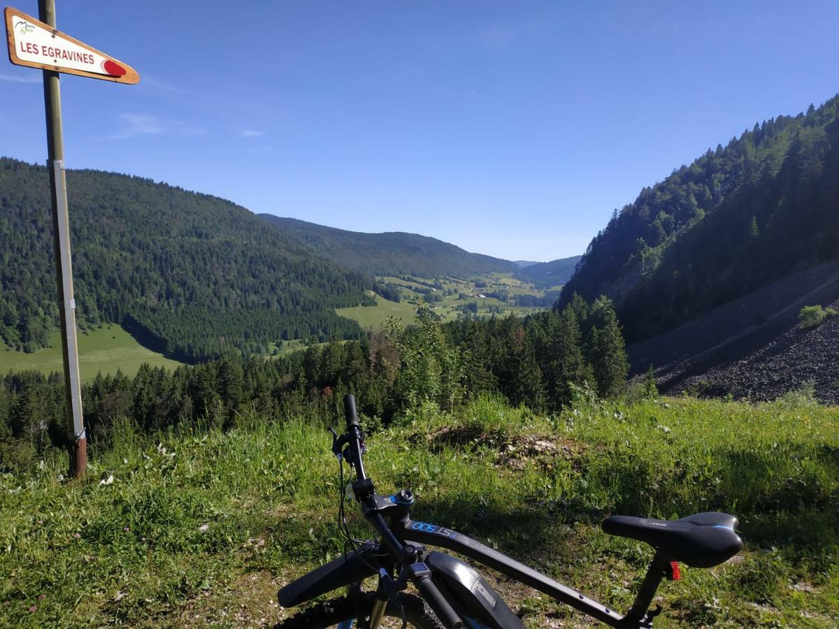 Les Chamois Daire Lajoux Dış mekan fotoğraf