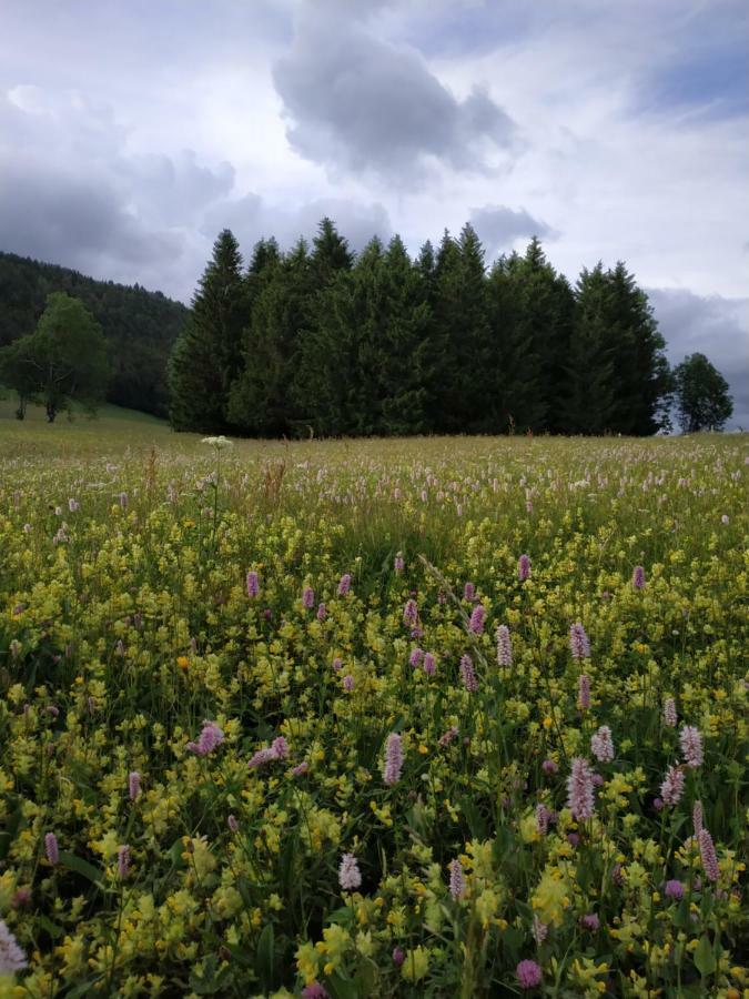 Les Chamois Daire Lajoux Dış mekan fotoğraf