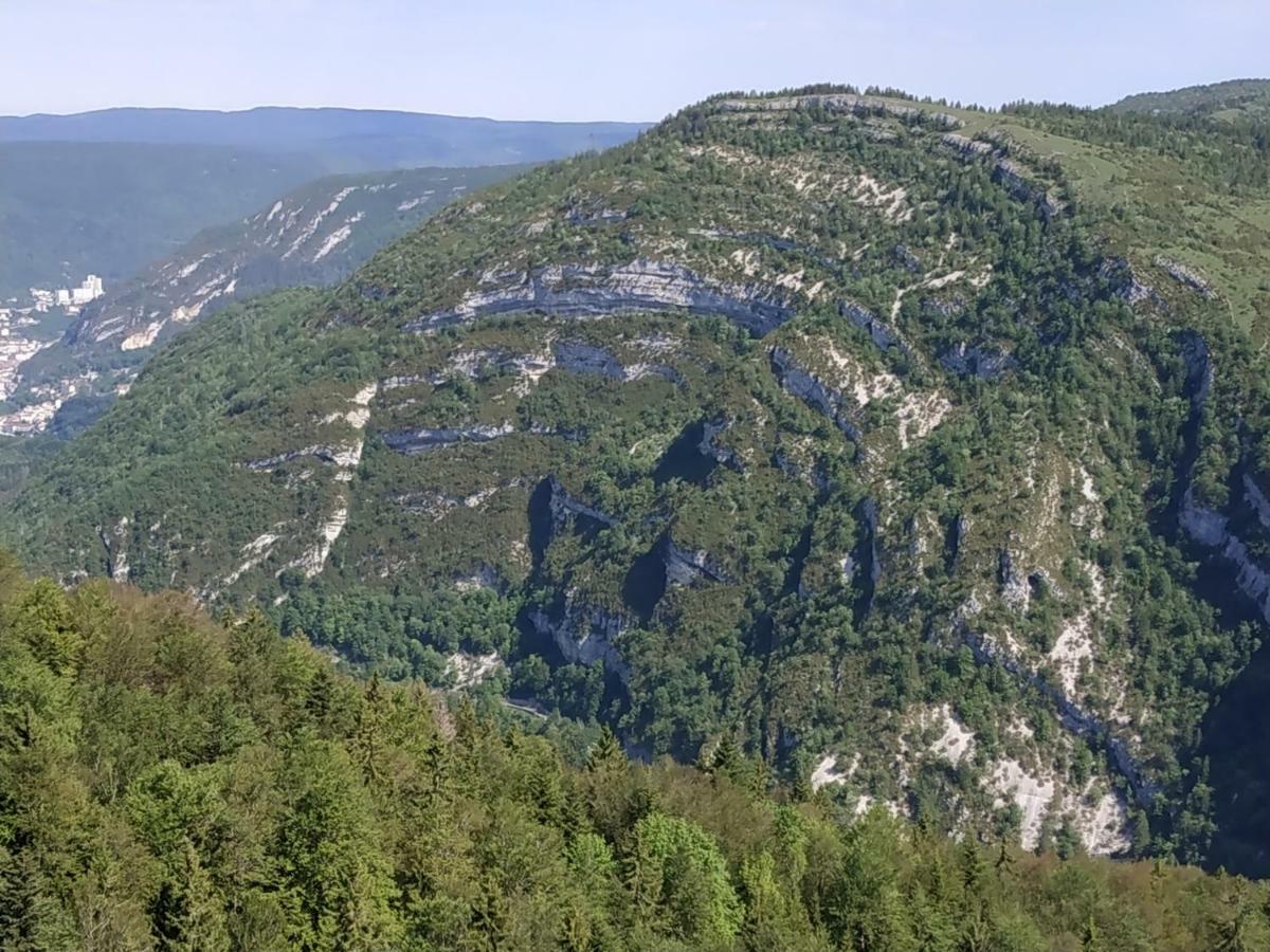 Les Chamois Daire Lajoux Dış mekan fotoğraf