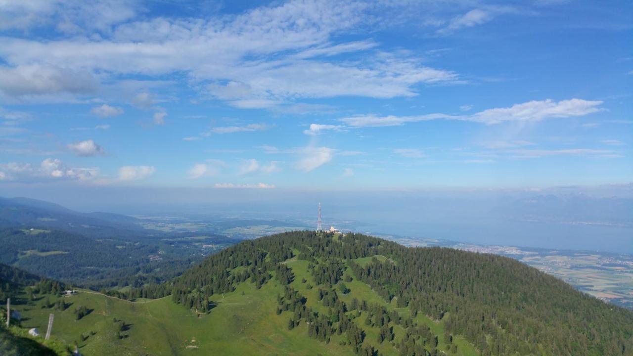 Les Chamois Daire Lajoux Dış mekan fotoğraf