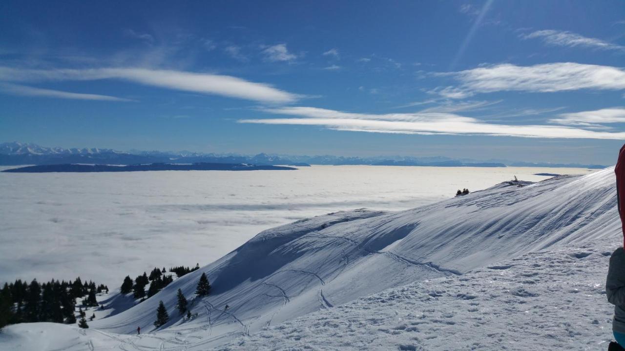 Les Chamois Daire Lajoux Dış mekan fotoğraf